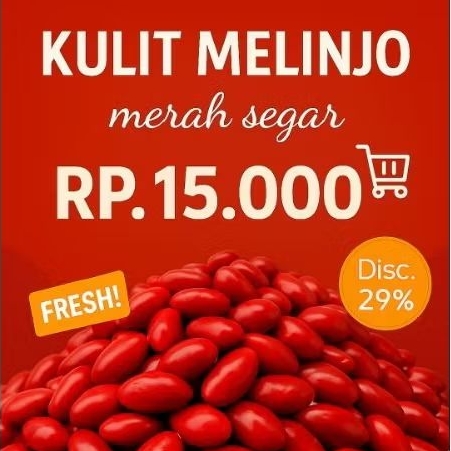 

kulit melinjo 1kg mentah premium dijamin segar