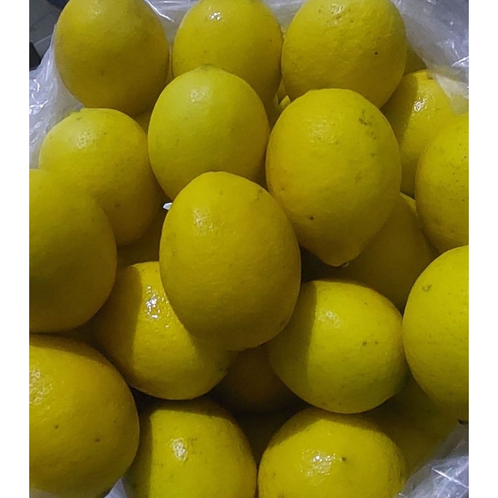 

lemon california fresh 1kg