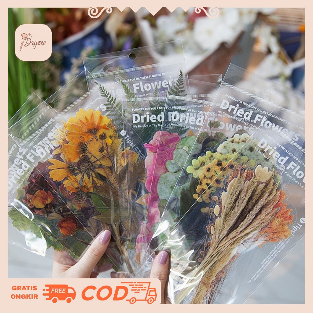 

Stiker Bunga Kering Sticker Pack Flowers 1 Set 6 Pcs - SP16