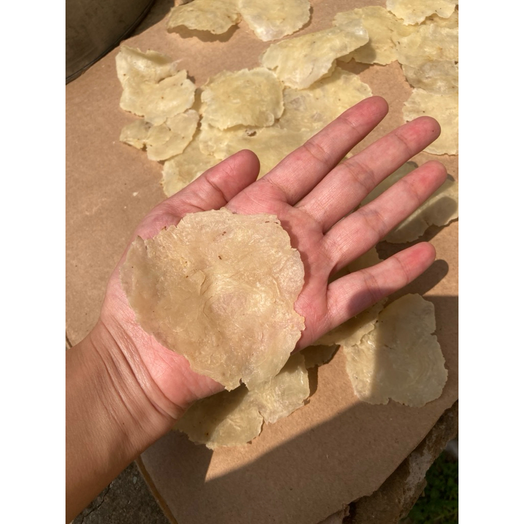 

EMPING MELINJO 1 kg (LEBAR isi 4/5 biji melinjo) SIAP GORENG !!r