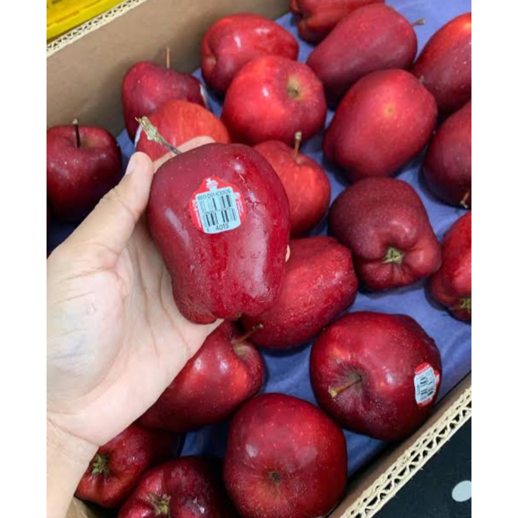 

apel red fresh netto1000gr