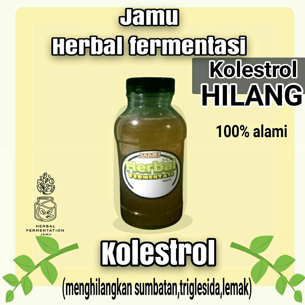 

jamu kolestrol