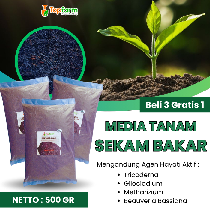 Media Tanam Sekam Bakar/ Sekam Bakar/ Pupuk Sekam Bakar/ Pupuk Sekam Bakar Kompos/  Sekam Bakar Medi