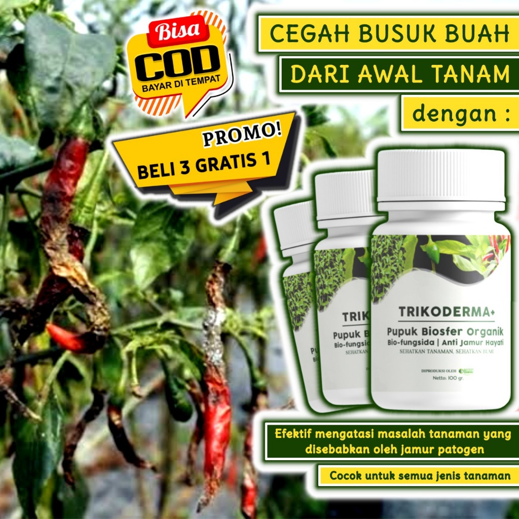 Booster Pertumbuhan Tanaman Pupuk Semprot Trikoderma