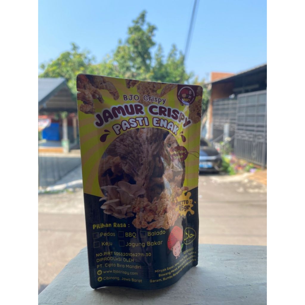 

Snack Jamur Tiram Crispy BJOCRISPY - kemasan 20gram - Camilan sehat keluarga