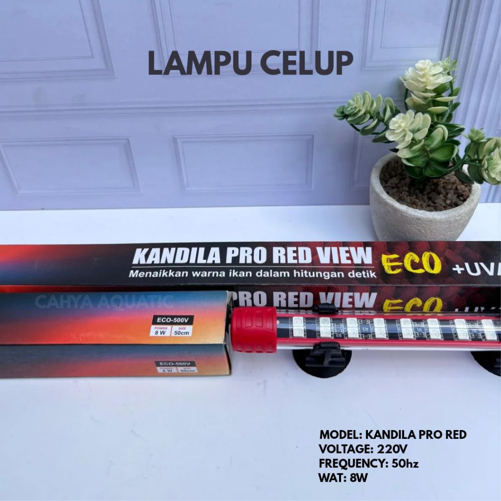 Kandila Pro Red