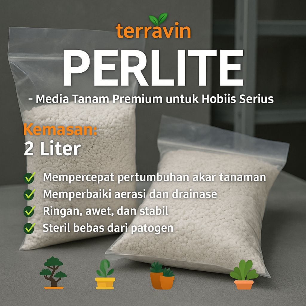 Perlite media tanam karnivora bonsai sekulen aroid / media tanam perlite
