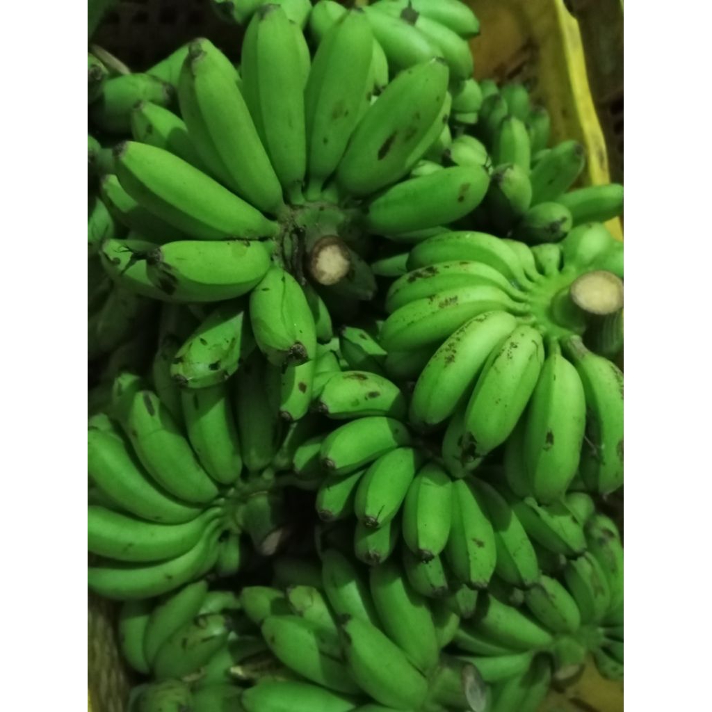 

pisang mas 1sisir