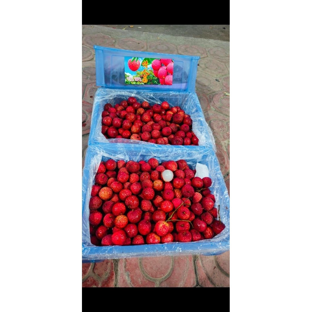 

leci merah fresh manis