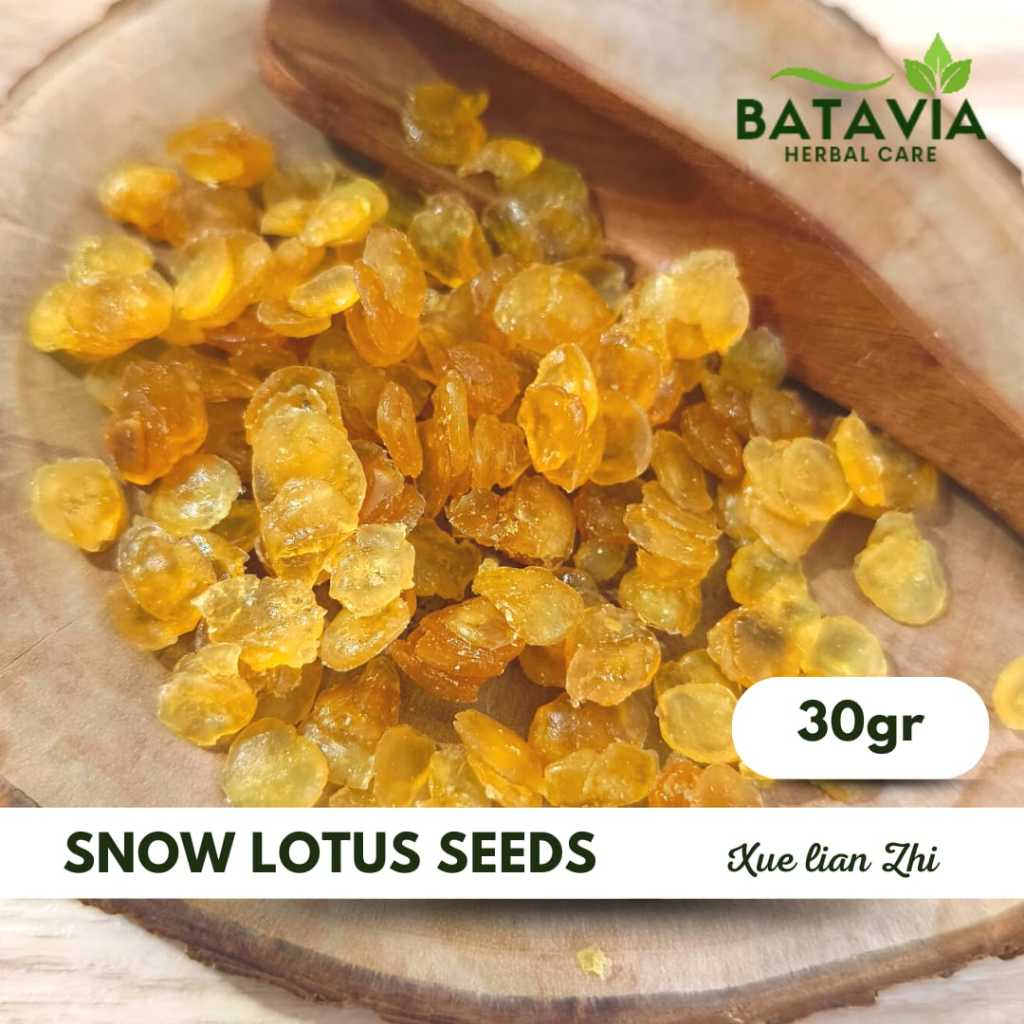 

Snow Lotus Seeds Collagen Biji Bunga Teratai Salju Xue Lian Ji Premium