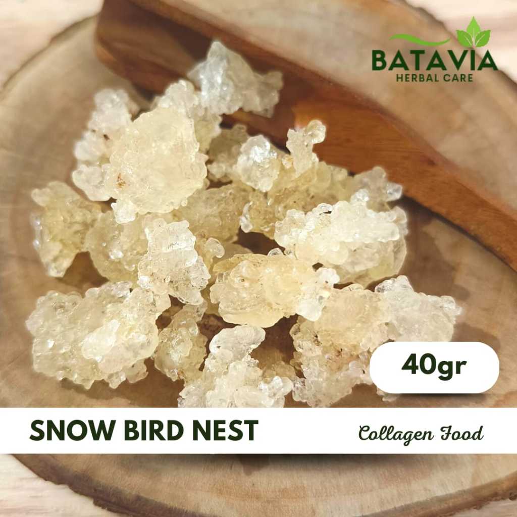 

Snow Bird Nest Collagen Sarang Burung Salju Tragacanth Gum Xue Yen