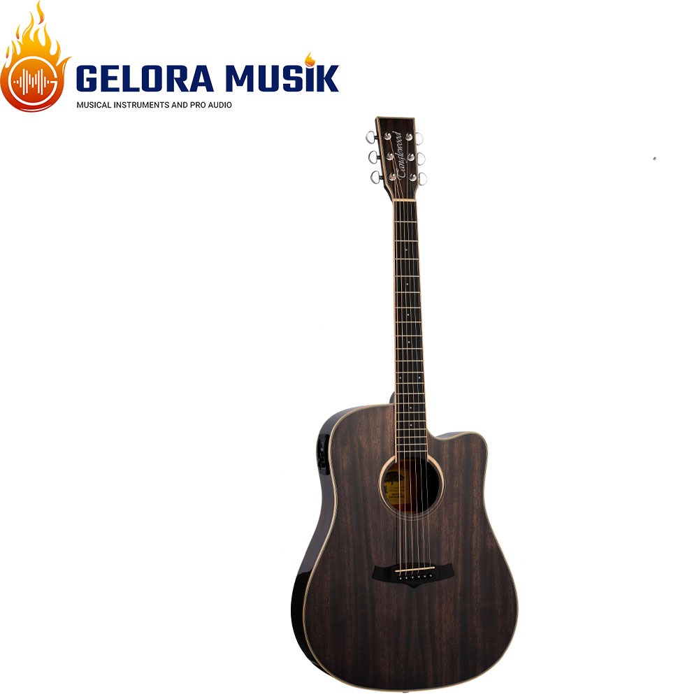 Gitar Akustik Elektrik Tanglewood Winterleaf TW5CE BS Dreadnought CTWY, BK Gloss W/B