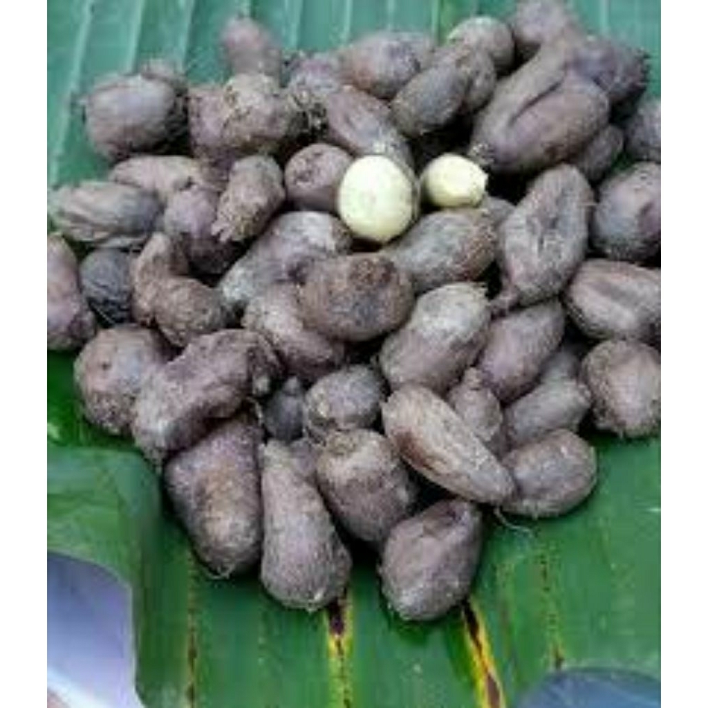 

kentang bulu kentang ireng dari bogor 500gr