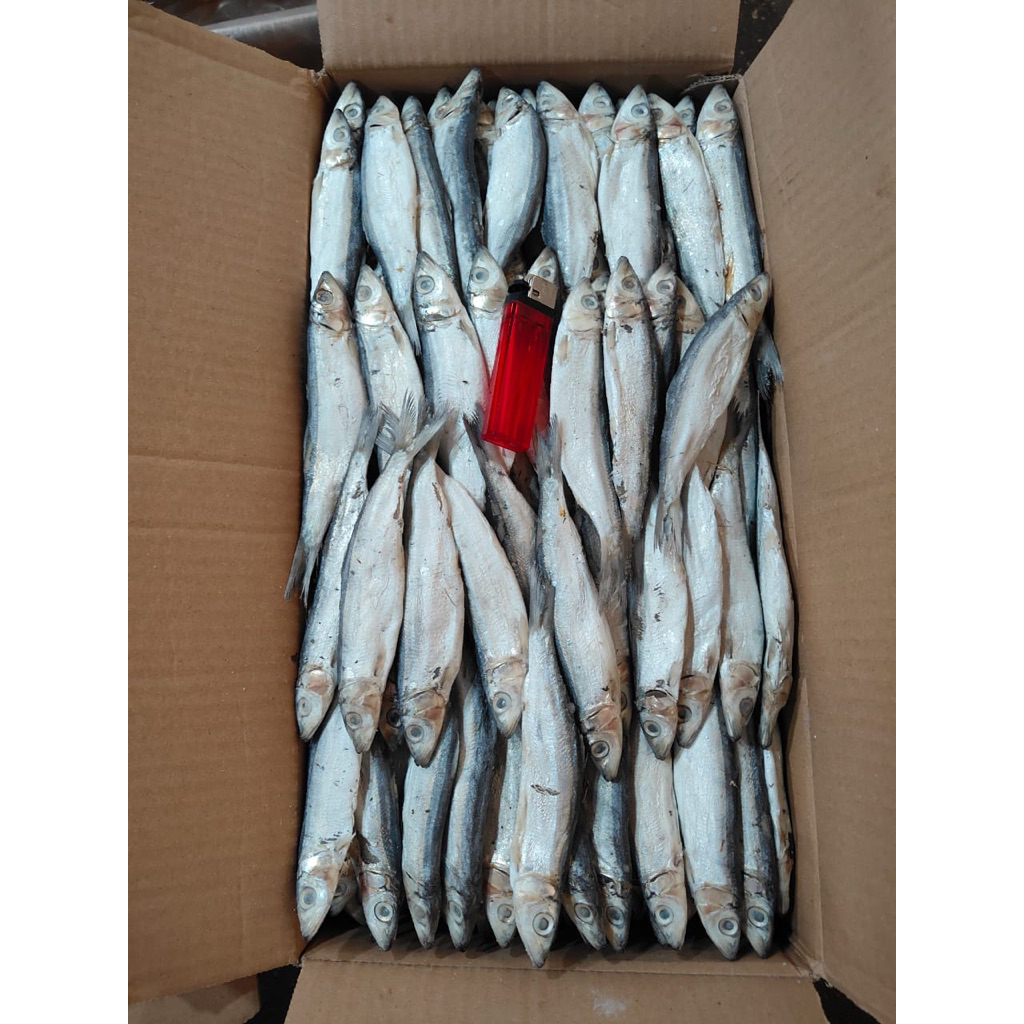 

IKAN ASIN SIRO SUPER IKAN SIRO KERING