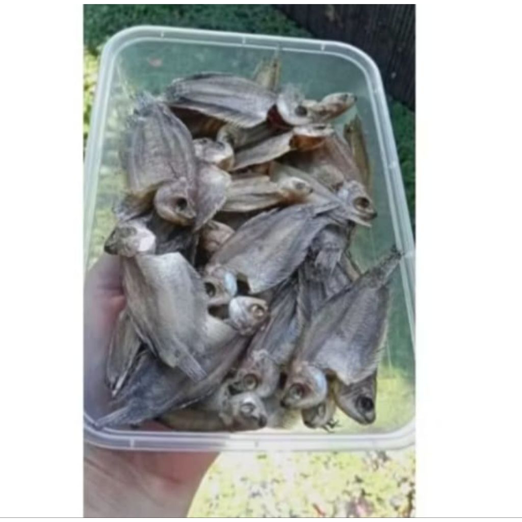 

ikan/iwak karing sapat hambar fres(jemuranhanyar)