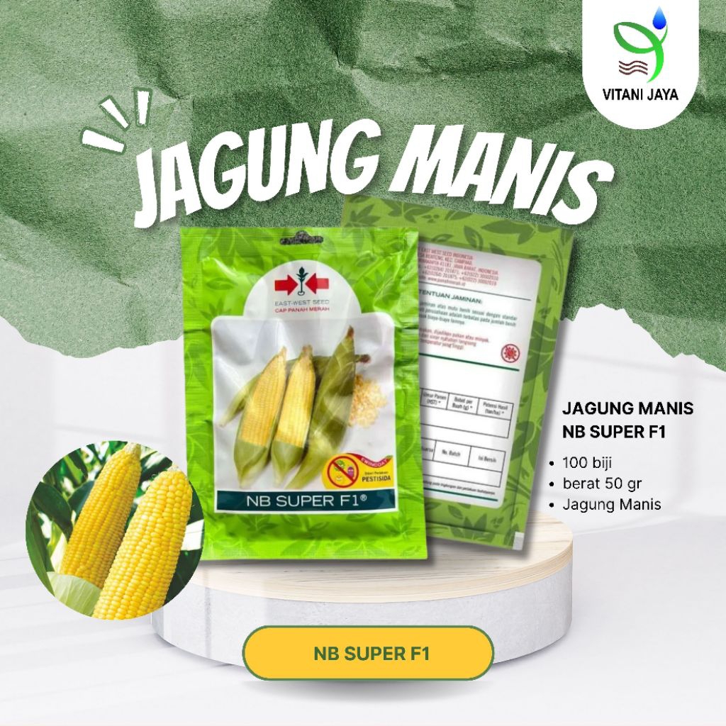 

Jagung Manis NB Super F1