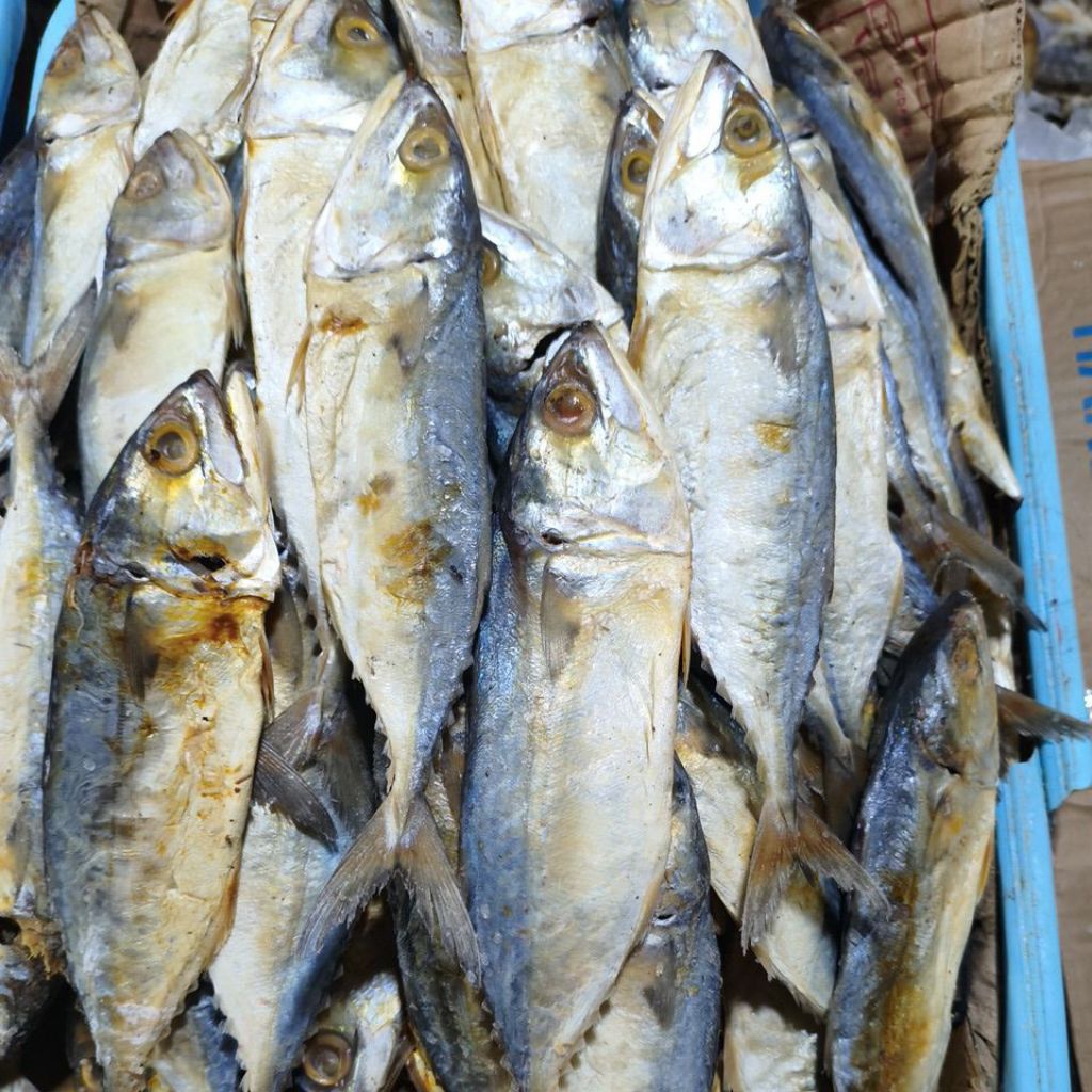 

ikan asin peda banjar 500gram