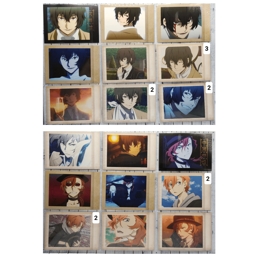 Bungo Stray Dogs BSD Pashakore