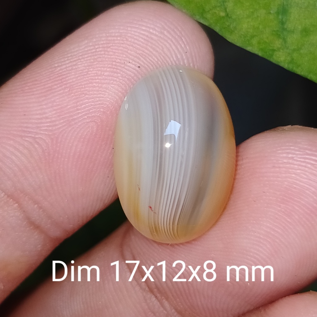 BATU GINGGANG KALIMANTAN ANTIK cek batu lainnya yaman api wulung opal bacan permata kalimaya kinyang