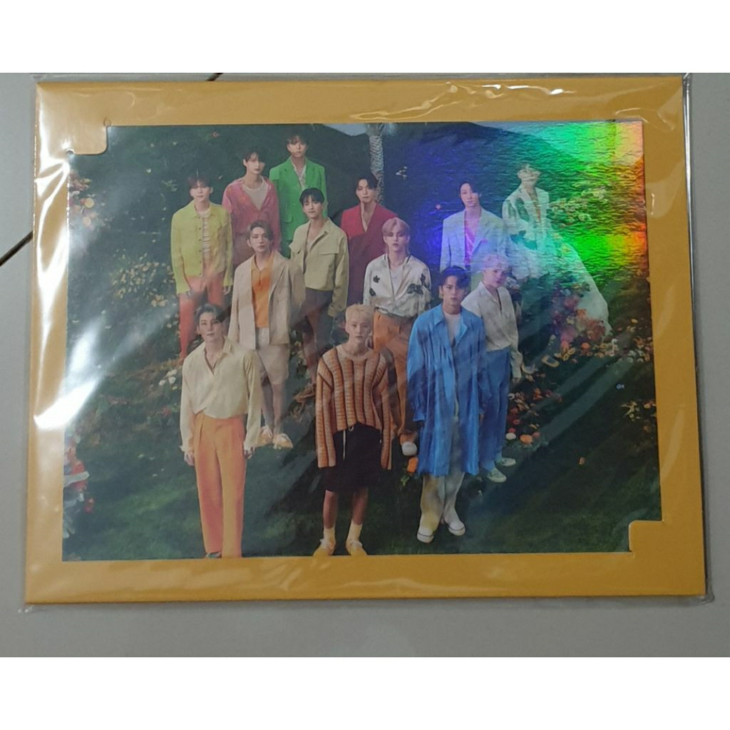 LINK CO WTS SEVENTEEN JOSHUA SCOUPS WONWOO POB SECTOR17 SECTOR 17