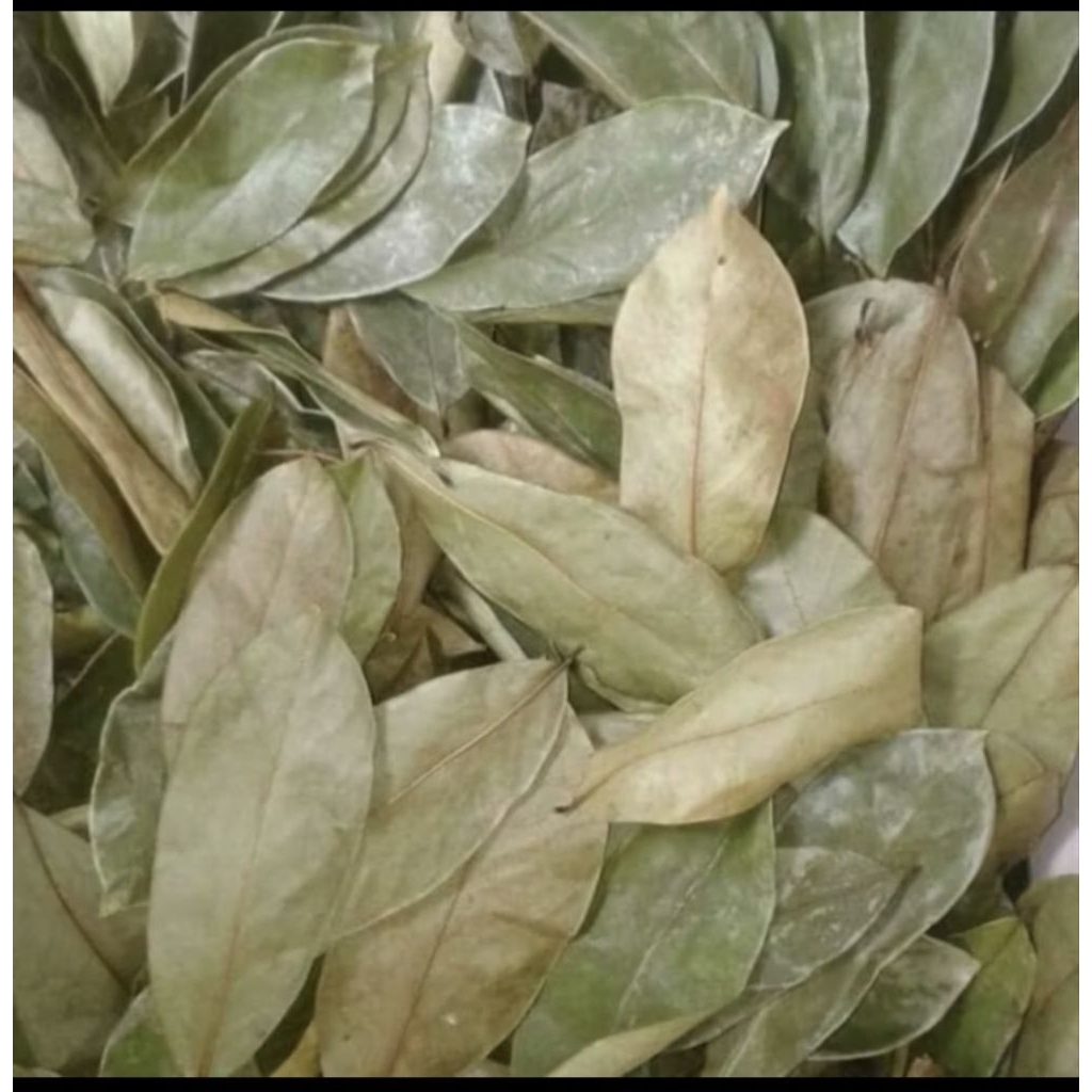 

Daun Sirsak Kering 30 gr