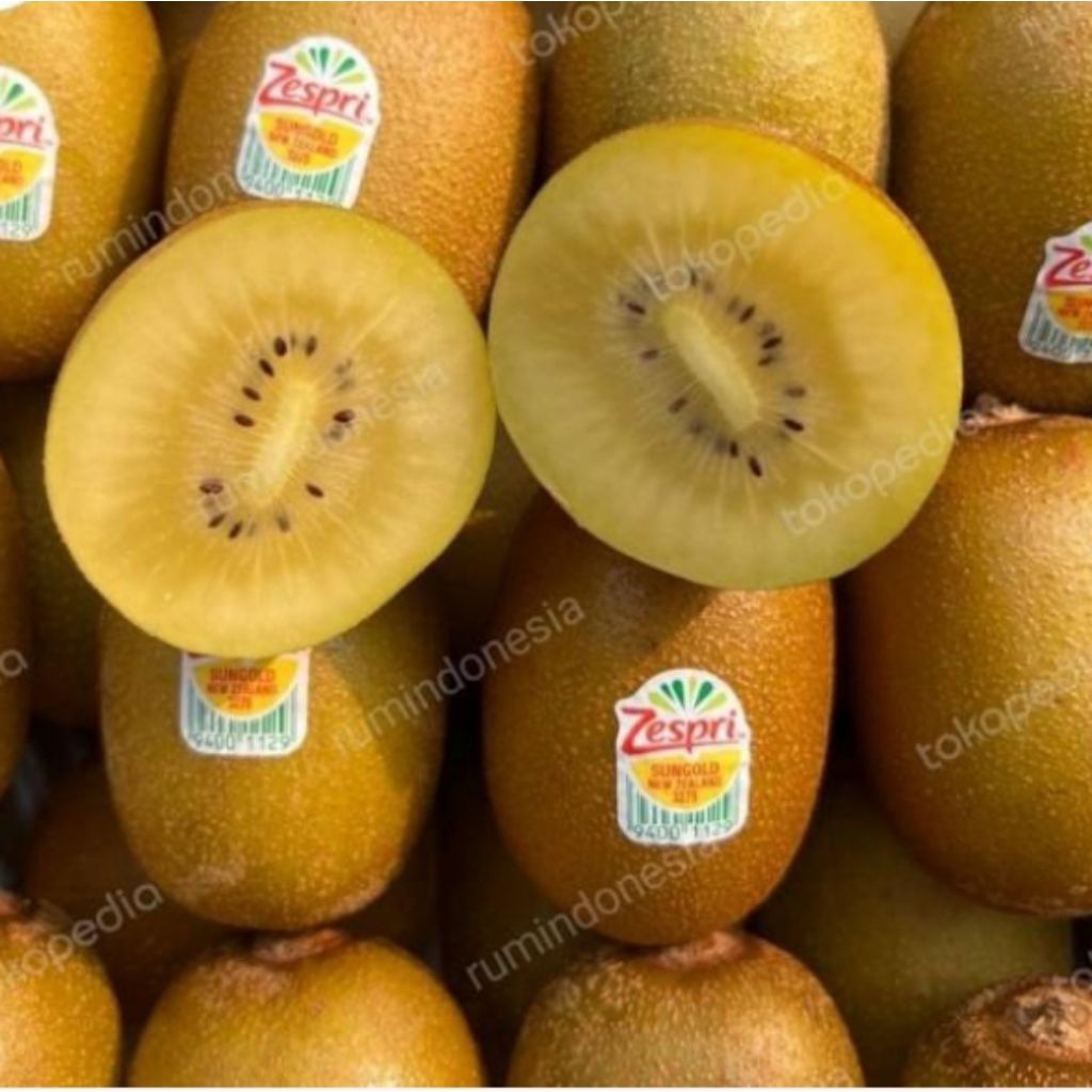 

KIWI GOLD ZESPRI FRESH ( 1KG )