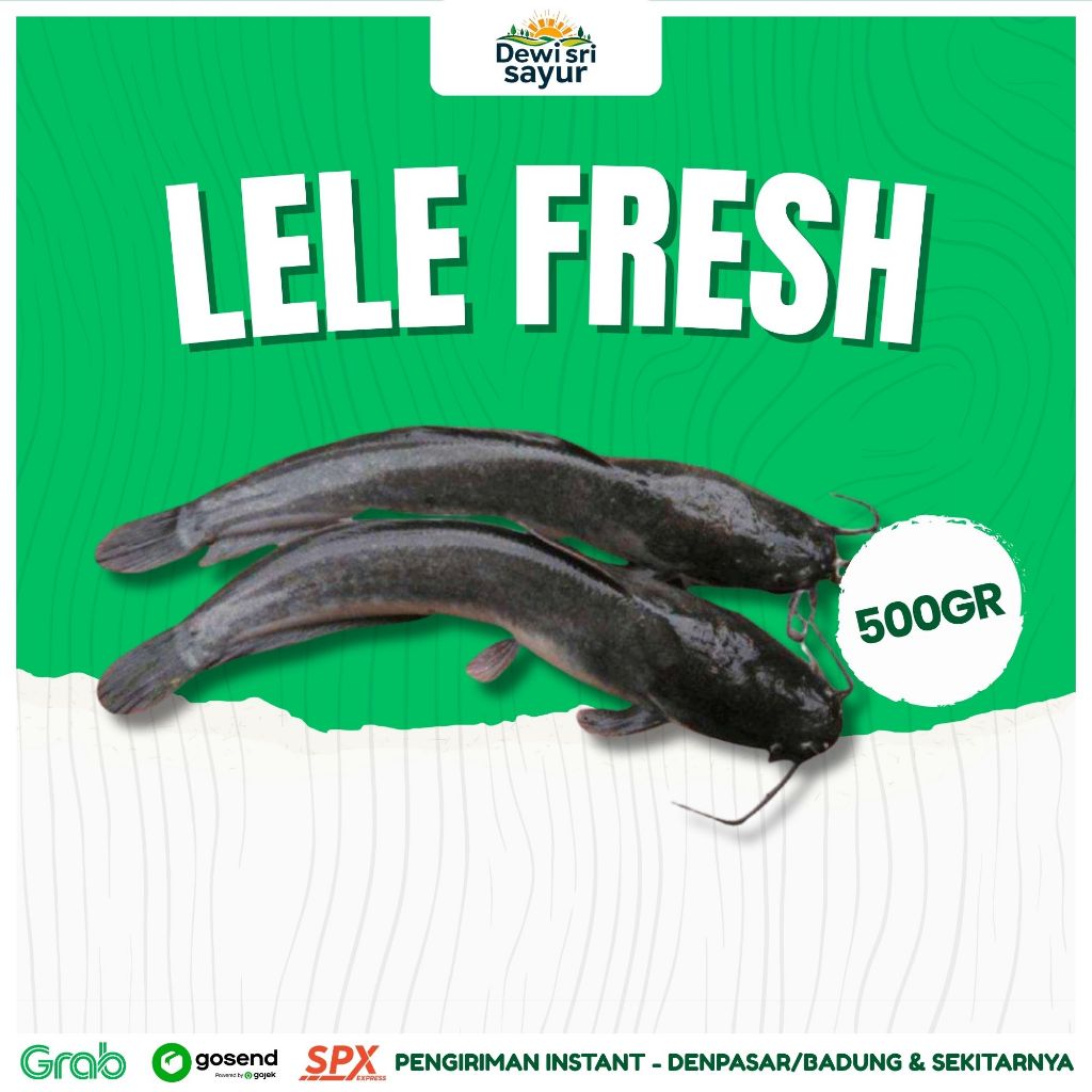 

Ikan Lele Fresh 500gr – Dewi Sri Sayur