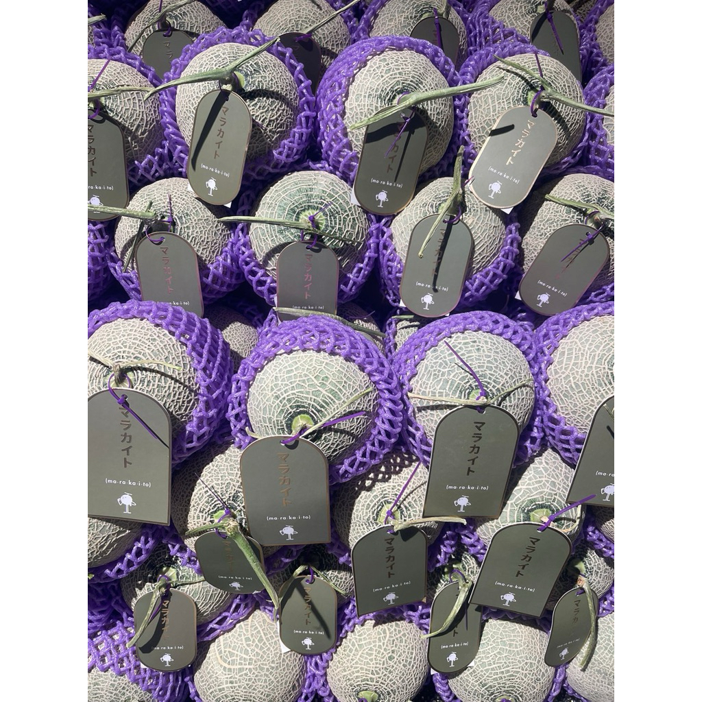 

Melon Jepang Original Import |Marakaito Sweet Melon Premium | pcs