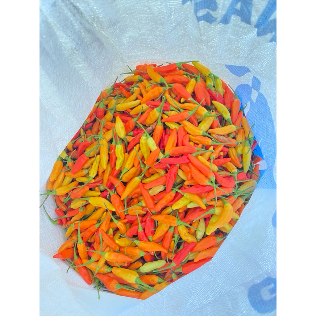 

Cabai rawit merah 1kg