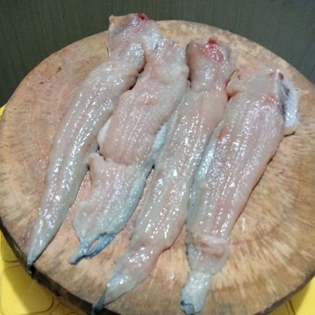 

Ikan Lele Fillet Segar Dari Kolam cocok untuk Mpasi