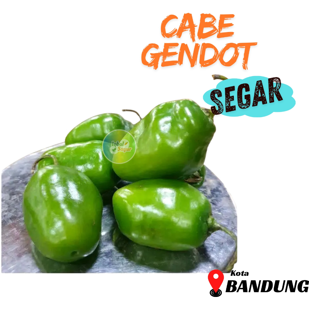 

Cabe Gendot Hijau Segar Bandung