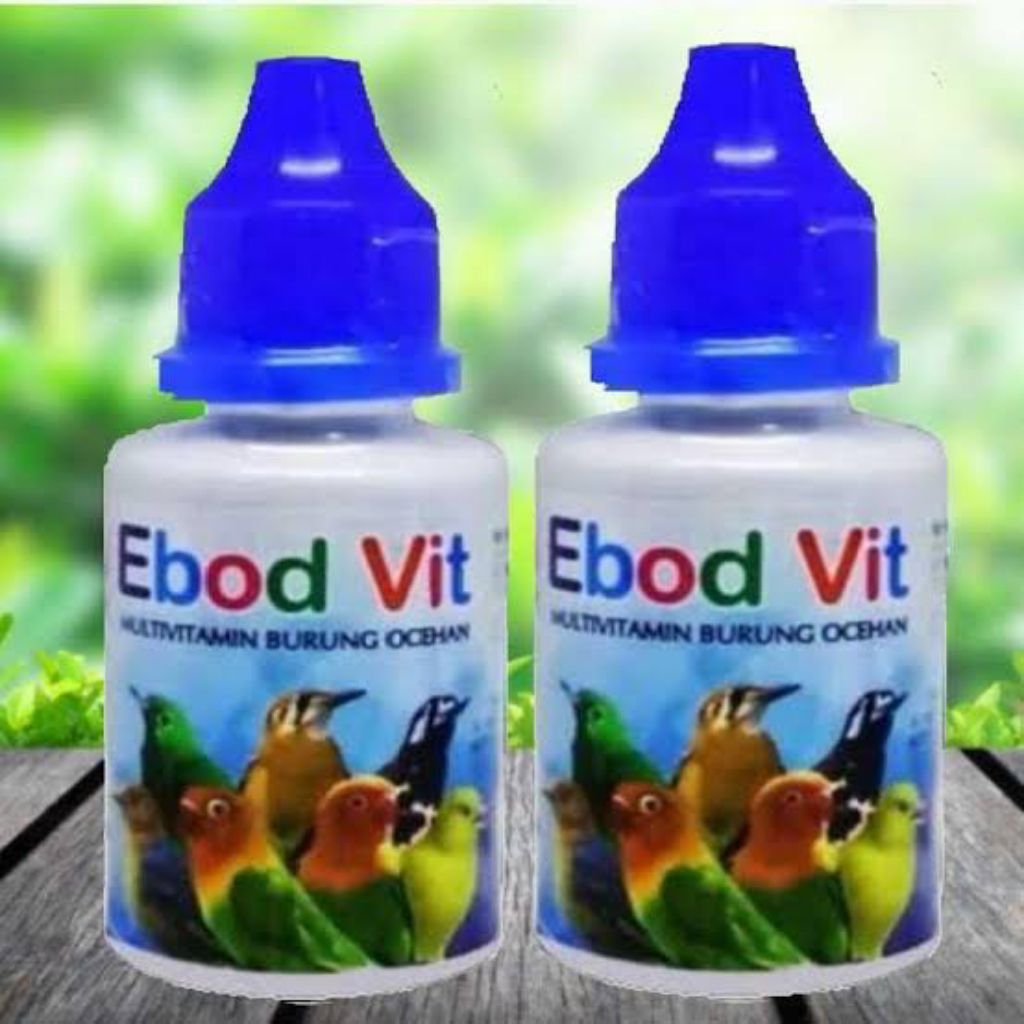 ebod vit