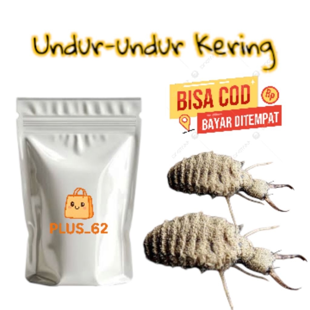 

UNDUR-UNDUR KERING ASLI 100 PERSEN UNDUR-UNDUR KERING OVEN BERKUALITAS
