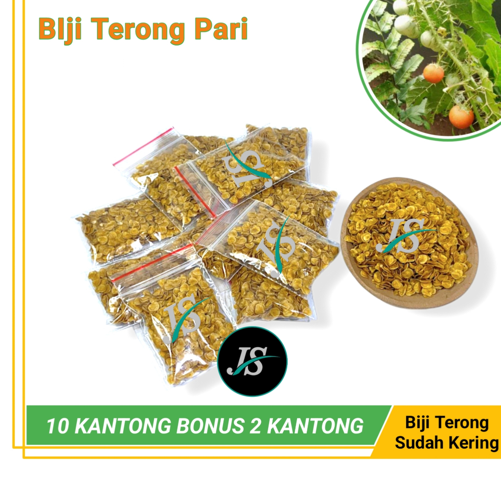 

Biji Terong Pari (10 KANTONG BONUS 2) Terong Duri / Terong Hutan