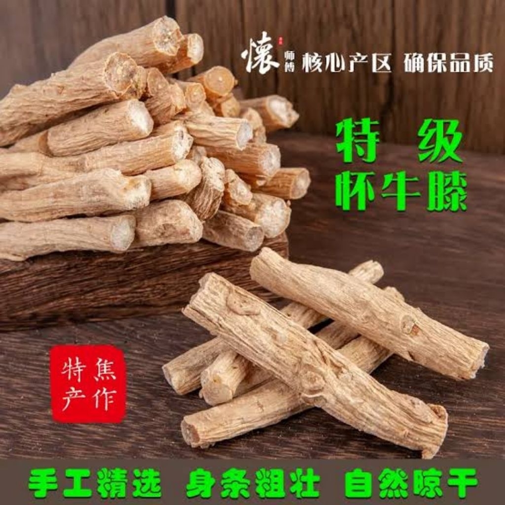 

100gr 懷牛膝 Huai Niu Xi Achyranthes Bidentata Blume Achyranthes Root Radix Achyranthis Bidentatae