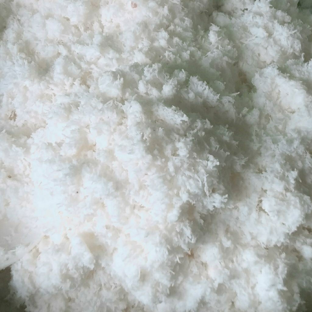 

Kelapa Tua Parud 250 gram