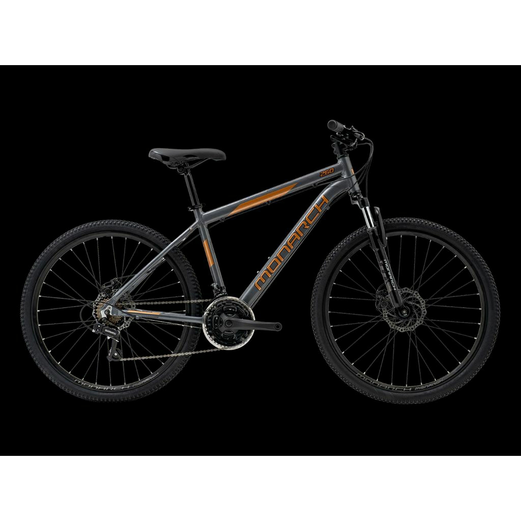 SEPEDA POLYGON MONARCH 260