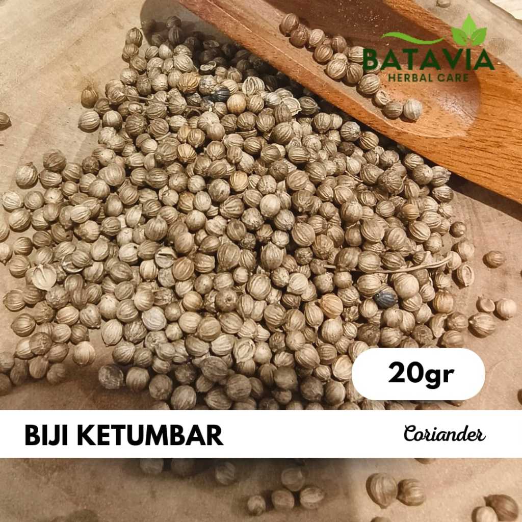 

Biji Ketumbar Coriander