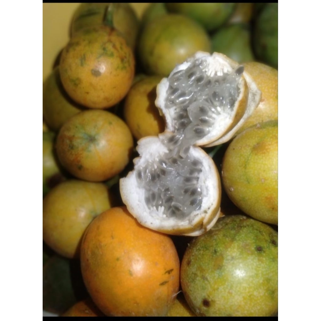 

MARKISA MADU MANIS (KONYAL) Isi1kg