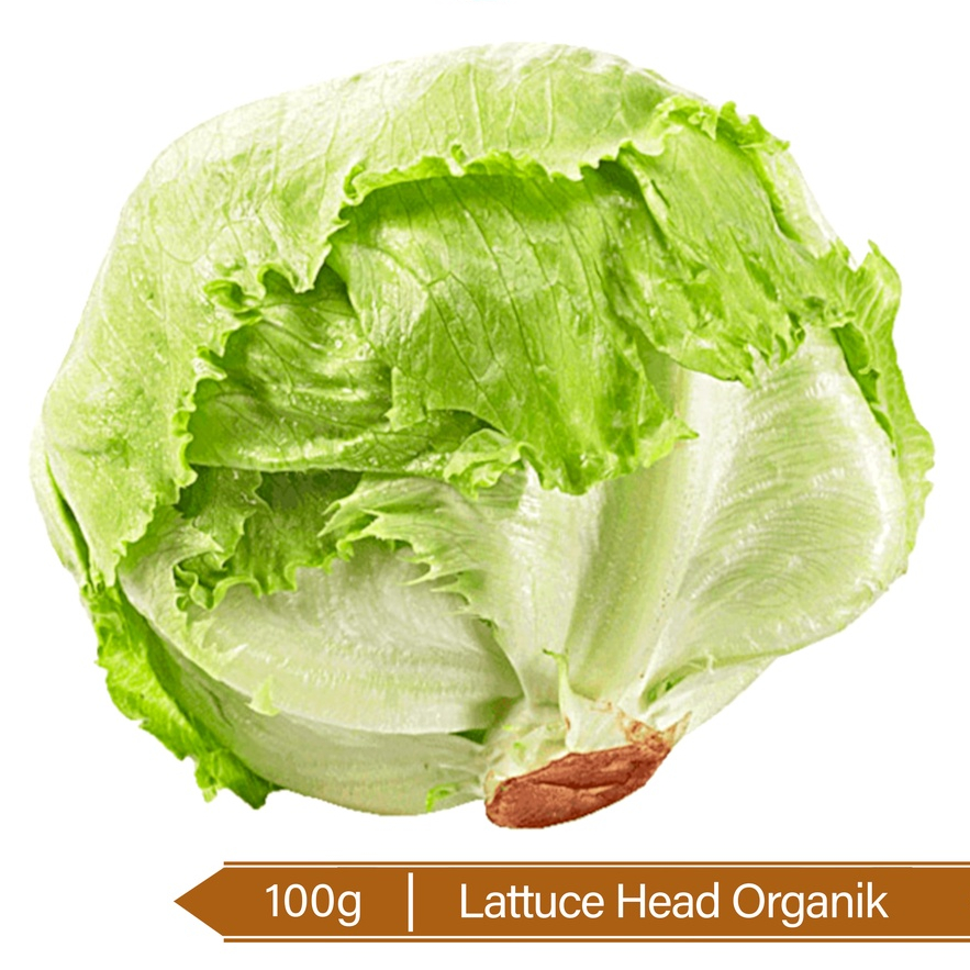 

Lettuce Head Organik / Organic Lettuce Head 100g