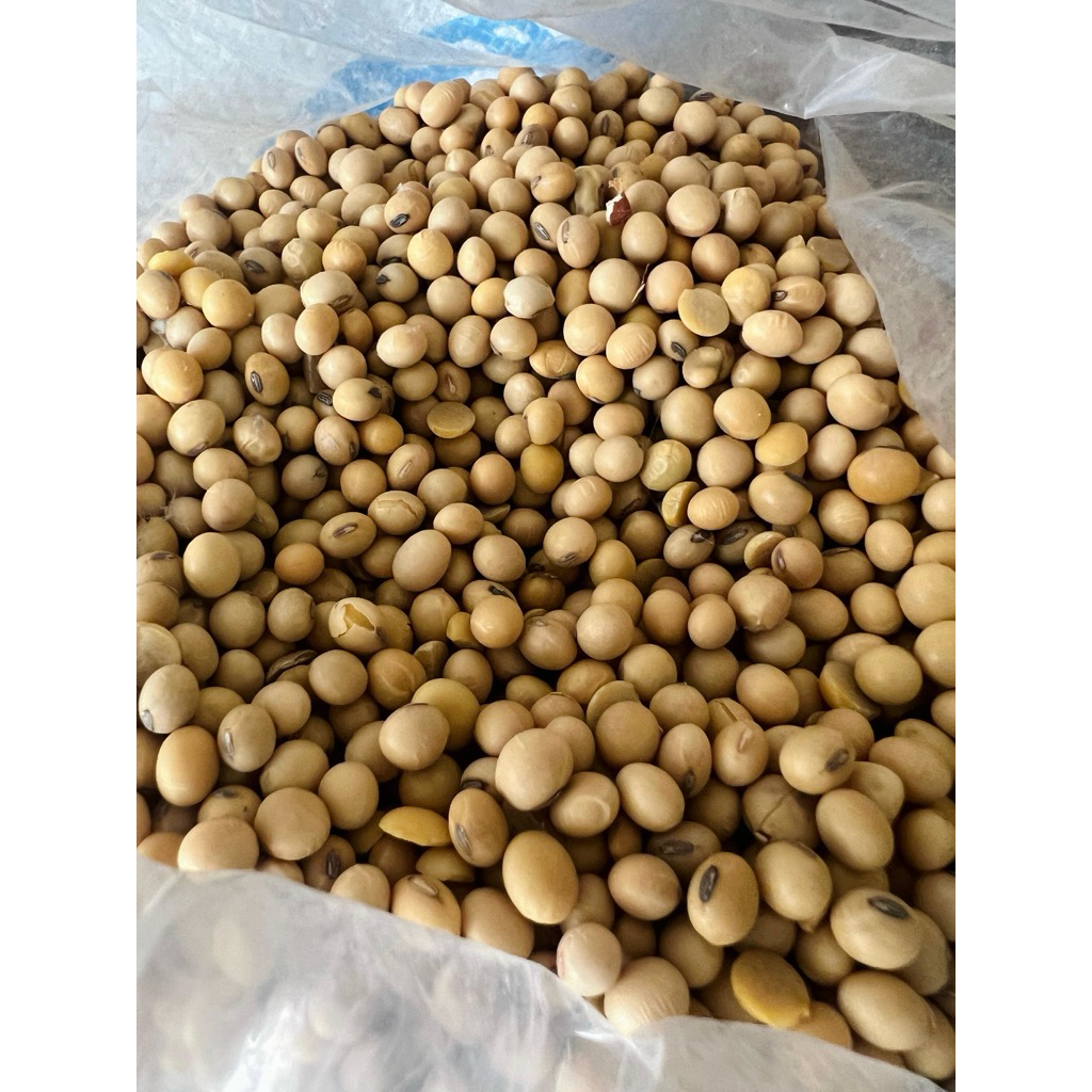 

KACANG KEDELAI PREMIUM 1KG