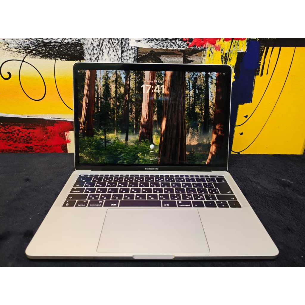 Apple Macbook Pro 13 2017 16/500 Mulus