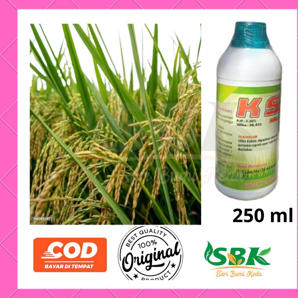 silika pupuk Antibody Anti roboh tanaman K Sil 500 ml