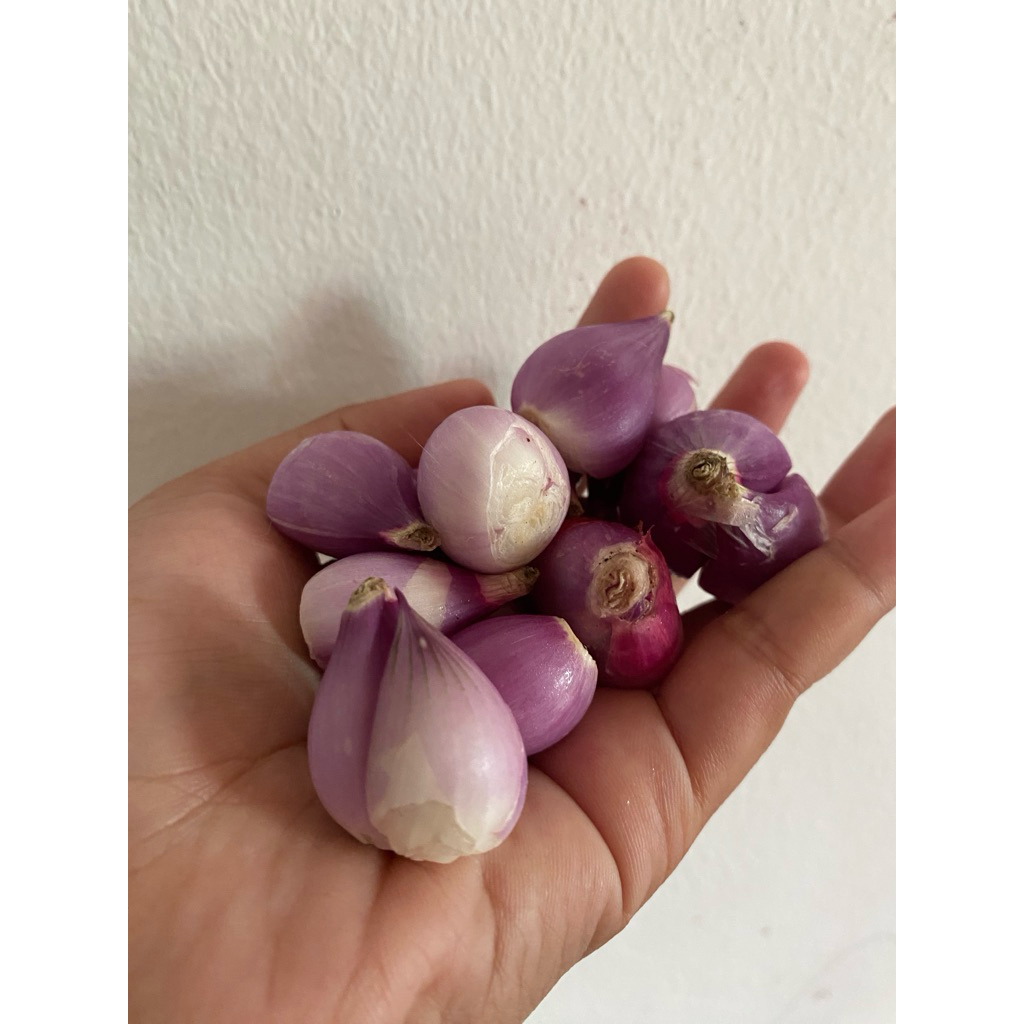 

Bawang Merah Kupas
