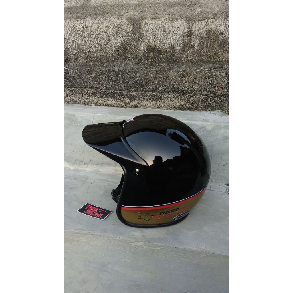 helm TS Tiger shark original repaint