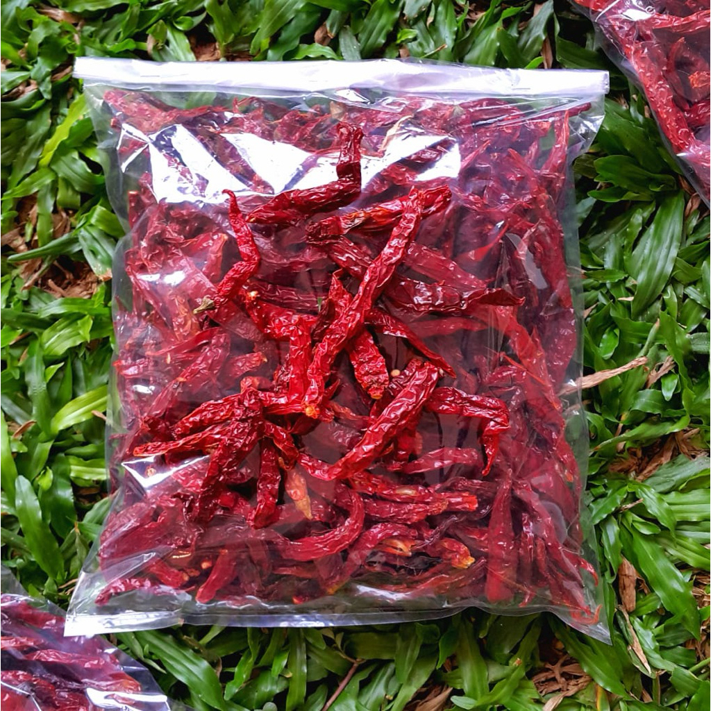 

Cabe Keriting Kering 100g - 1kg | Bumbu Masakan Pedas Gurih