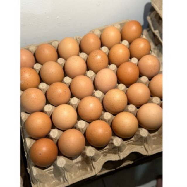 

15 Pcs Telur Ayam Sedang