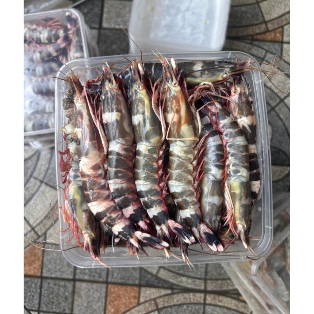 

frozen udang windu kemasan tinwall 1000ml