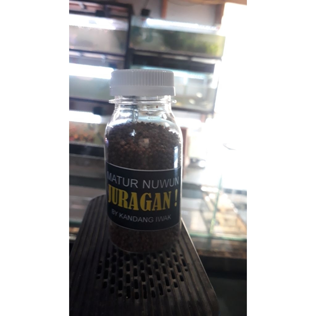 pelet ikan cupang,guppy,dan glowfish