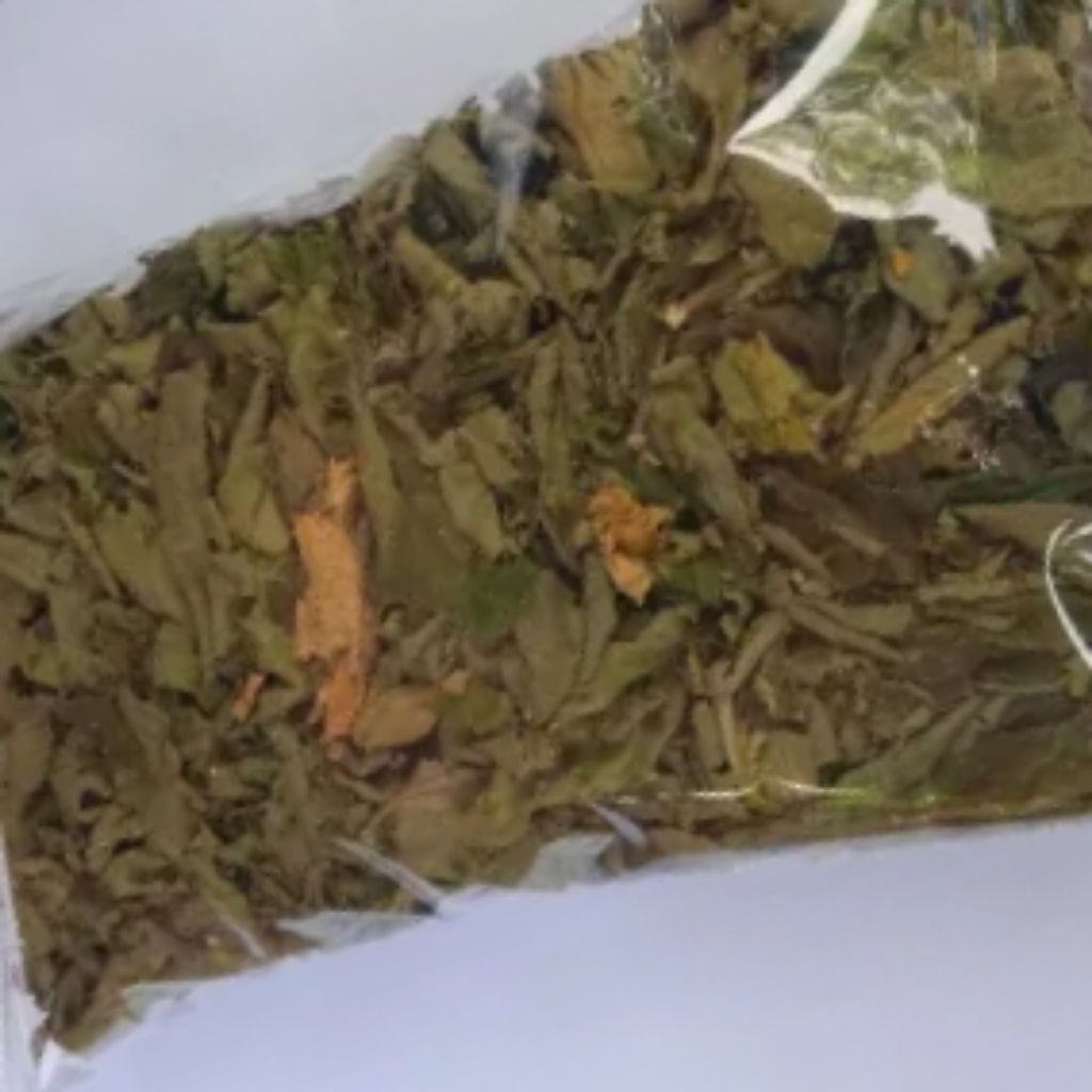 

Daun kersen/korsen/Daun cery